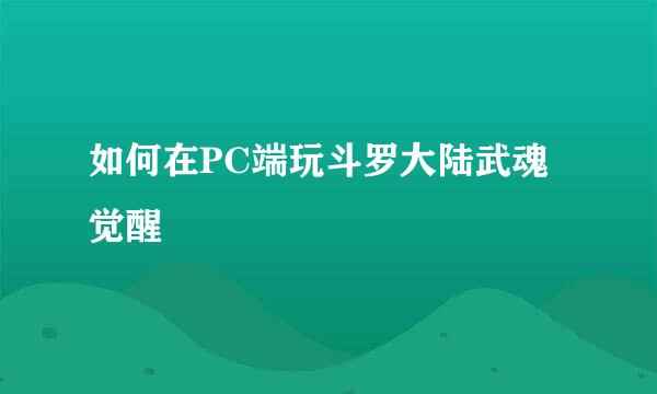 如何在PC端玩斗罗大陆武魂觉醒