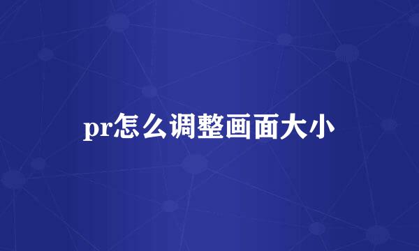 pr怎么调整画面大小