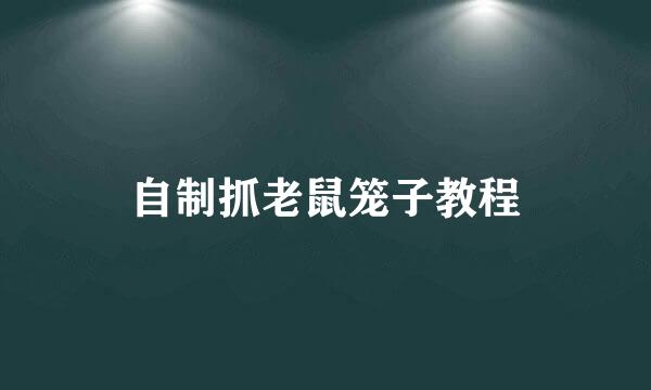 自制抓老鼠笼子教程
