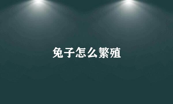 兔子怎么繁殖
