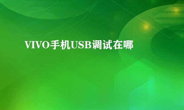 VIVO手机USB调试在哪