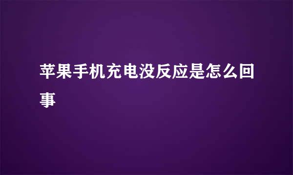 苹果手机充电没反应是怎么回事