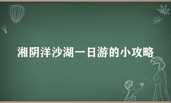 湘阴洋沙湖一日游的小攻略