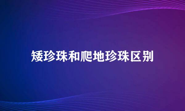 矮珍珠和爬地珍珠区别