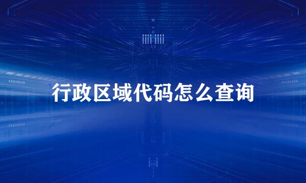 行政区域代码怎么查询