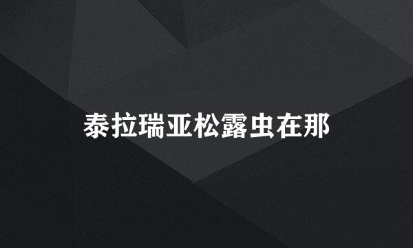 泰拉瑞亚松露虫在那