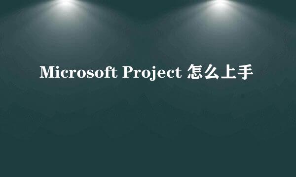 Microsoft Project 怎么上手