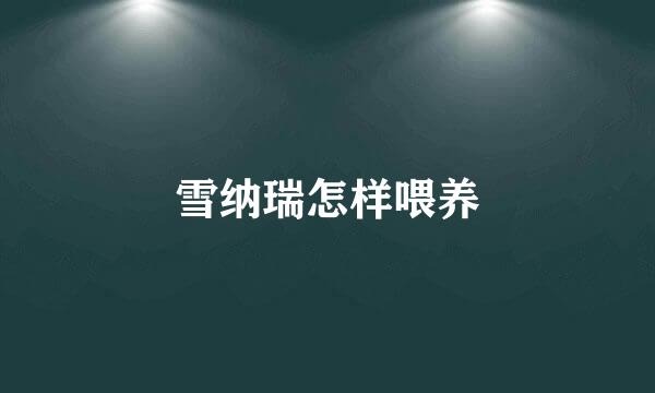 雪纳瑞怎样喂养