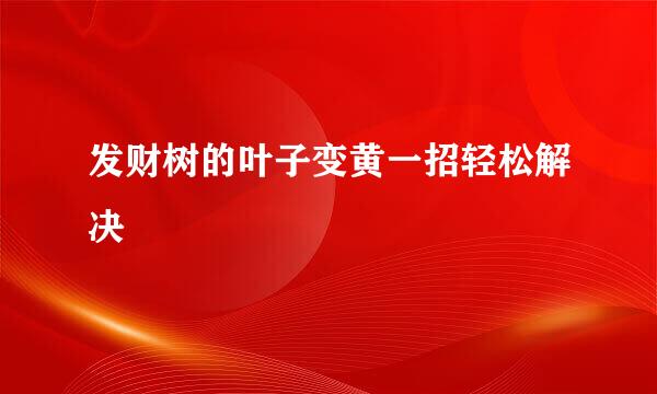 发财树的叶子变黄一招轻松解决