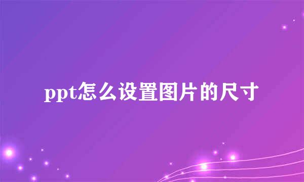 ppt怎么设置图片的尺寸