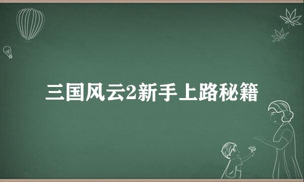 三国风云2新手上路秘籍