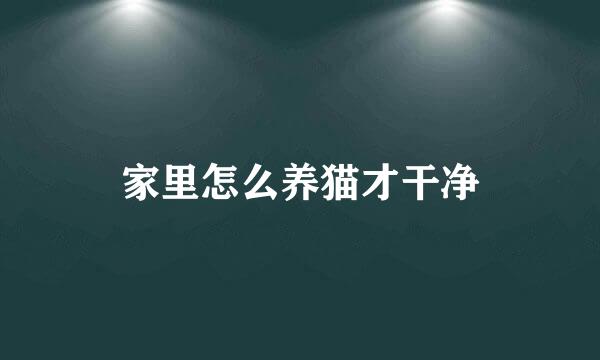 家里怎么养猫才干净