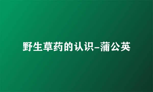 野生草药的认识-蒲公英