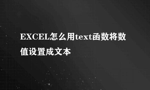 EXCEL怎么用text函数将数值设置成文本