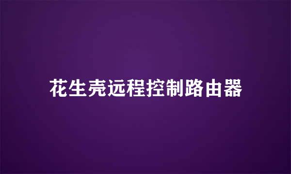 花生壳远程控制路由器