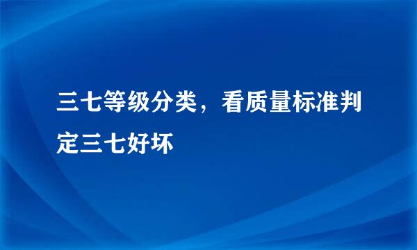 三七等级分类，看质量标准判定三七好坏