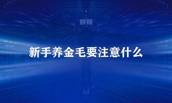 新手养金毛要注意什么