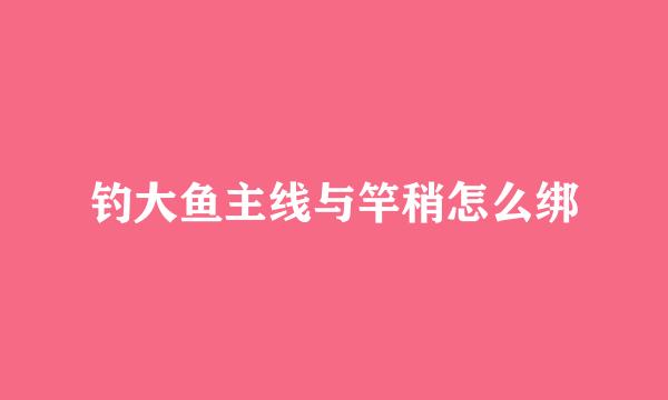 钓大鱼主线与竿稍怎么绑