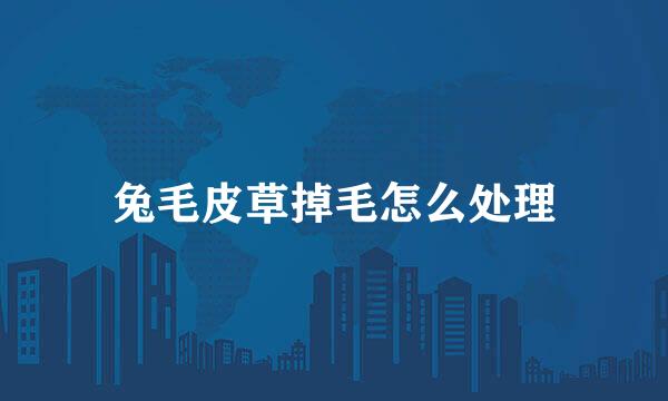 兔毛皮草掉毛怎么处理