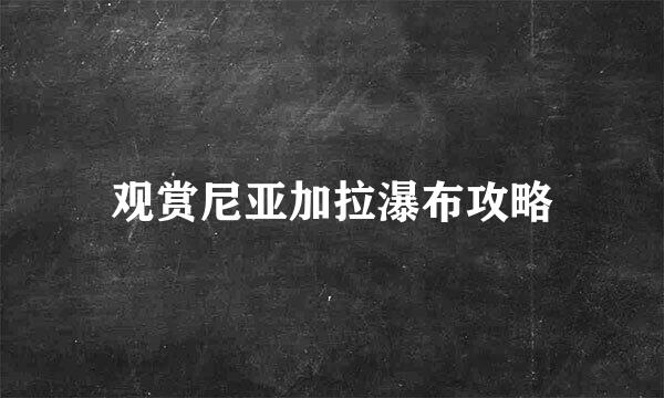 观赏尼亚加拉瀑布攻略