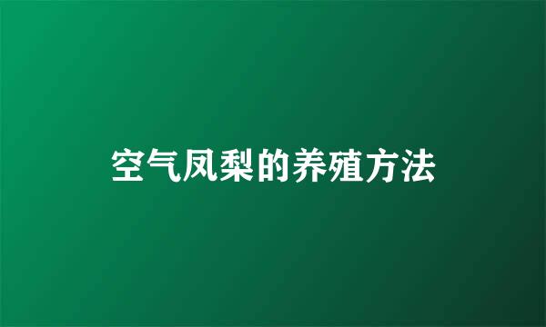 空气凤梨的养殖方法