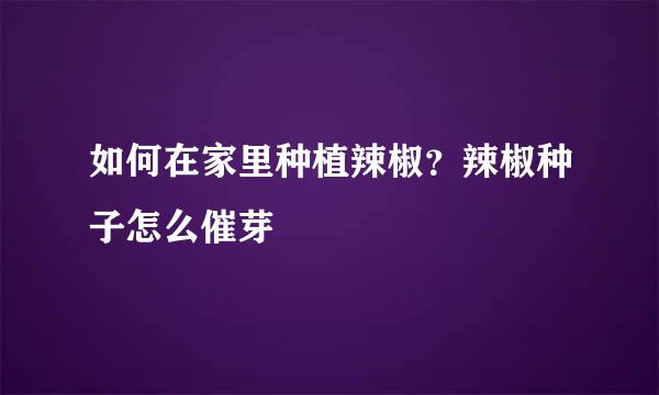 如何在家里种植辣椒?辣椒种子怎么催芽