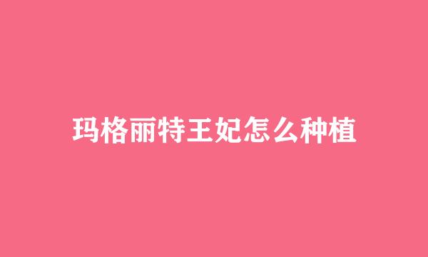 玛格丽特王妃怎么种植