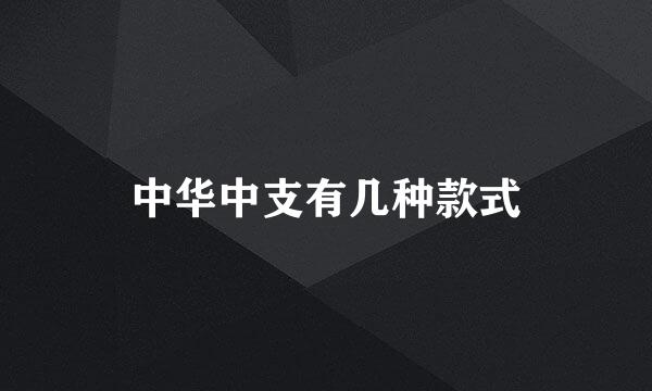 中华中支有几种款式