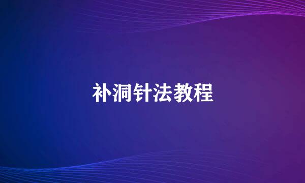 补洞针法教程