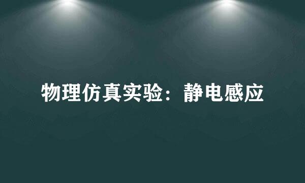 物理仿真实验：静电感应