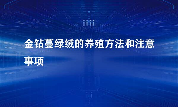 金钻蔓绿绒的养殖方法和注意事项