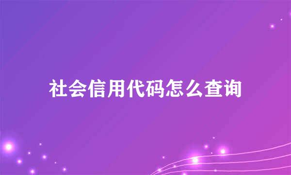 社会信用代码怎么查询