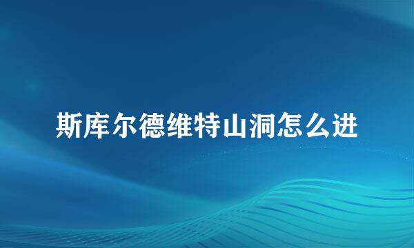斯库尔德维特山洞怎么进