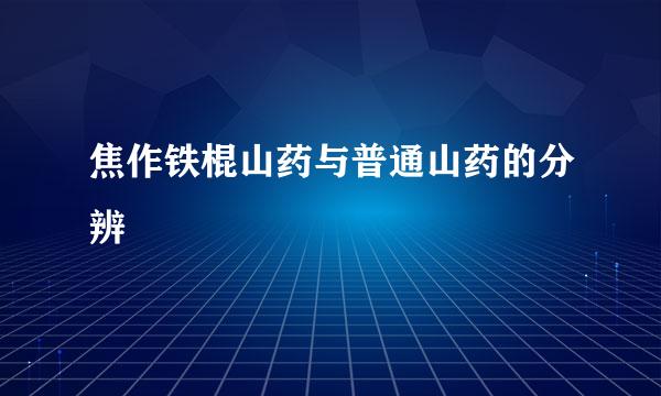 焦作铁棍山药与普通山药的分辨