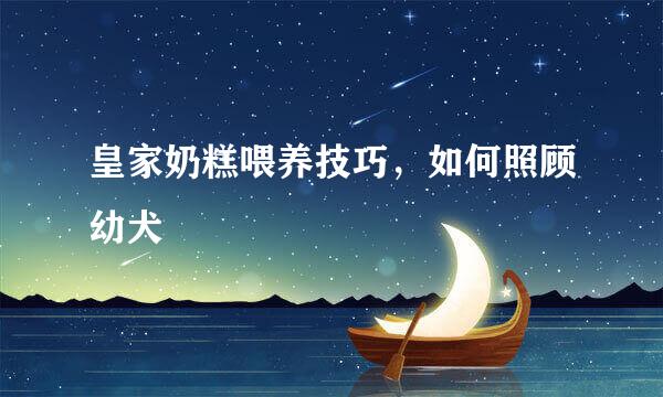 皇家奶糕喂养技巧,如何照顾幼犬