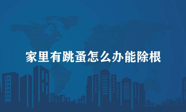家里有跳蚤怎么办能除根