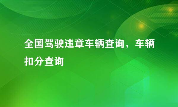 全国驾驶违章车辆查询,车辆扣分查询