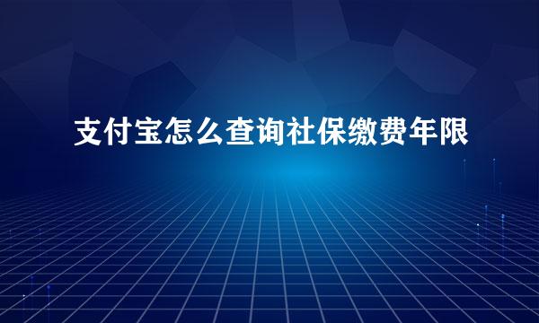 支付宝怎么查询社保缴费年限