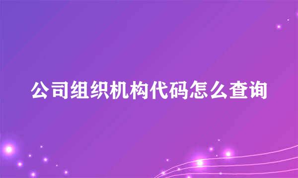 公司组织机构代码怎么查询