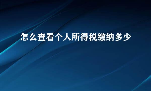 怎么查看个人所得税缴纳多少