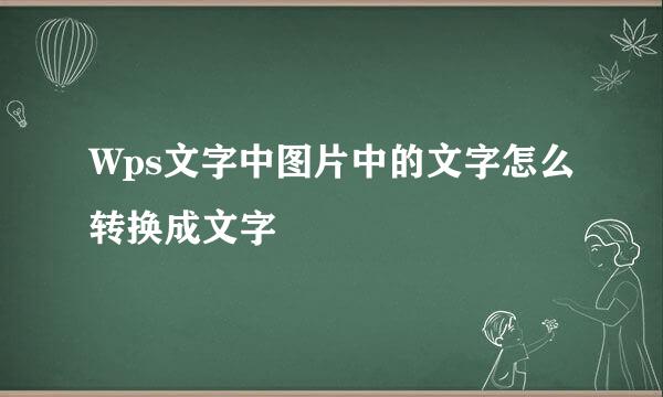 Wps文字中图片中的文字怎么转换成文字