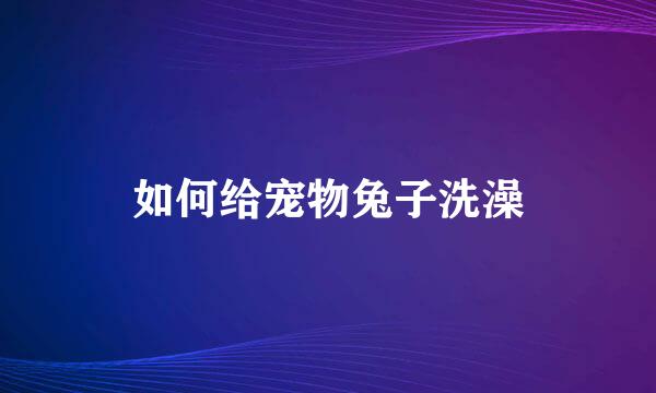 如何给宠物兔子洗澡