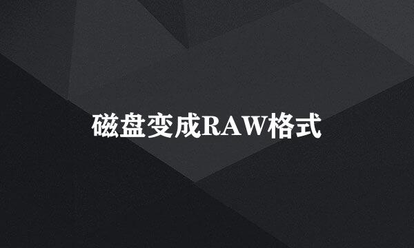 磁盘变成RAW格式