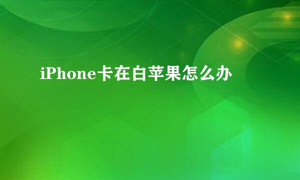 iPhone卡在白苹果怎么办