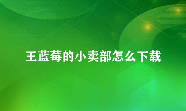 王蓝莓的小卖部怎么下载