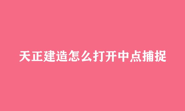 天正建造怎么打开中点捕捉