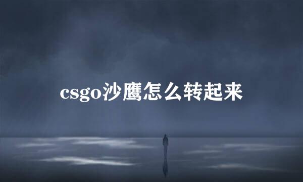 csgo沙鹰怎么转起来