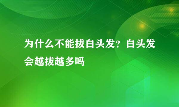 为什么不能拔白头发?白头发会越拔越多吗