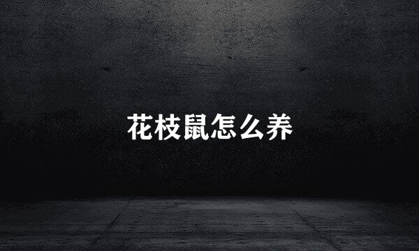花枝鼠怎么养