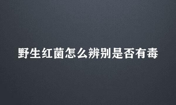野生红菌怎么辨别是否有毒